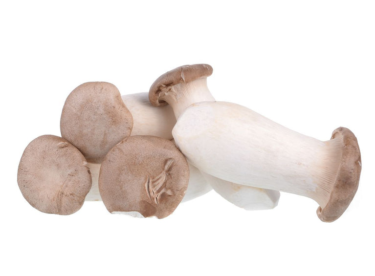 Pleurotus eryngii