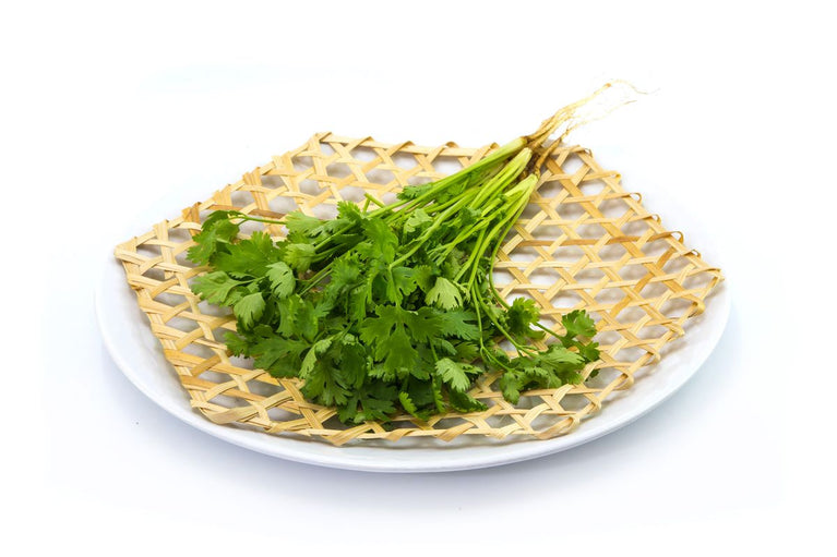 Coriander