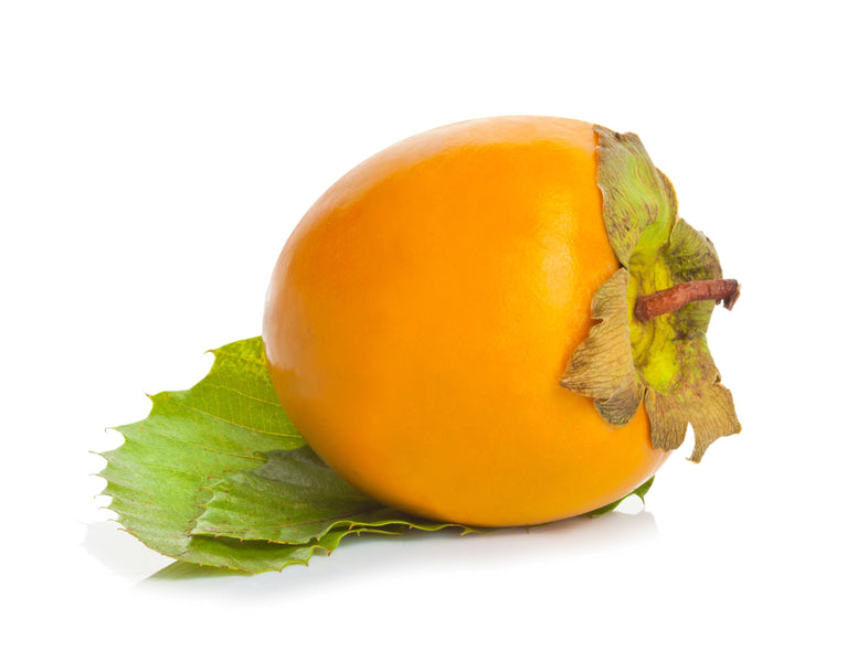 persimmon