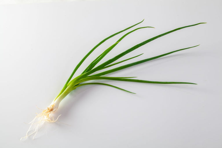 Chives