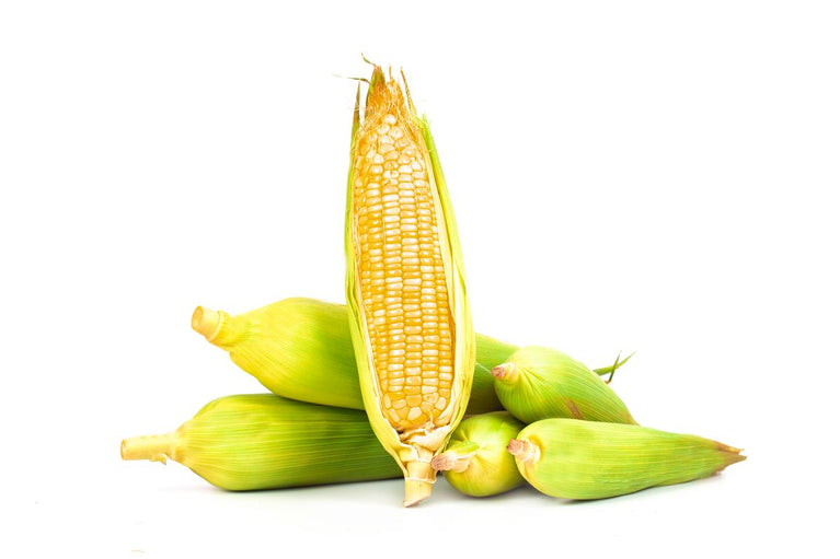 Corn