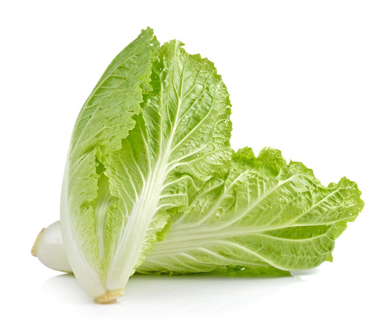 cabbage