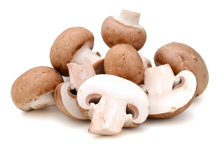 Shiitake