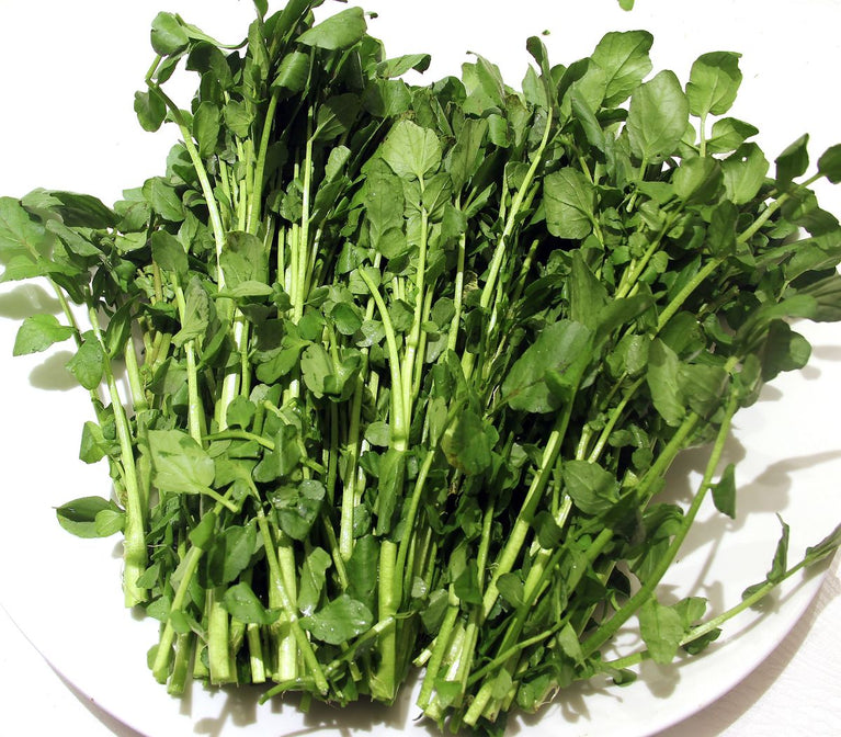 Watercress