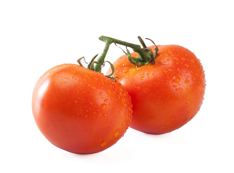 tomato