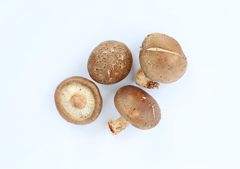 Shiitake